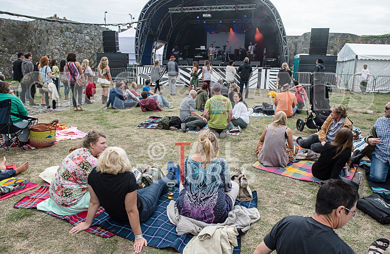 Vale Earth Fair_Atmosphere_2014-25 - VALE EARTH FAIR 2014 - THE ATMOSPHERE