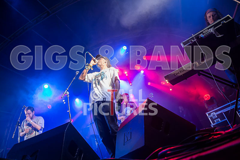 The Mouse Outfit-77 - THE MOUSE OUTFIT