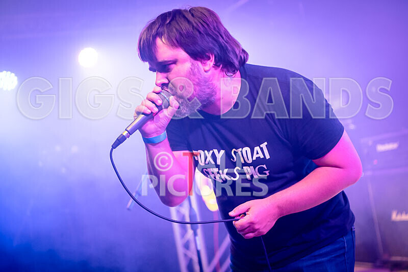 Foxy Stoat Seeks Pig-21 - FOXY STOAT SEEKS PIG