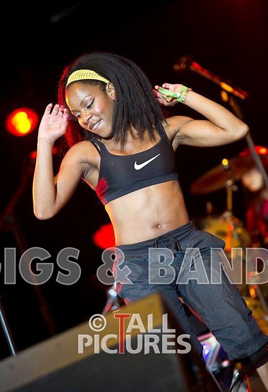 The Go Team-46 - THE GO! TEAM