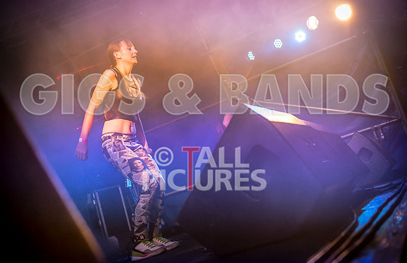 FireFarm-58 - FIREFARM