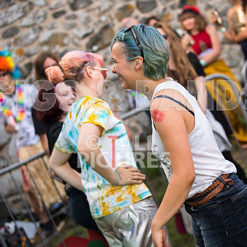 Vale Earth Fair 2017_SCENE-102 - VALE EARTH FAIR 2017_THE SCENE