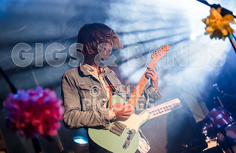 Surfin Birds-16 - SURFIN' BIRDS