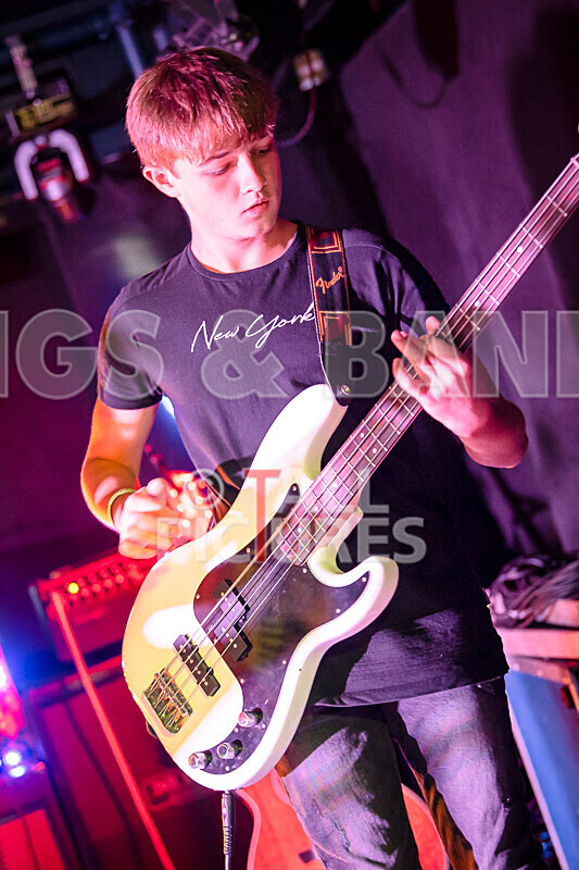 12 Gauge-15 - 12 GAUGE