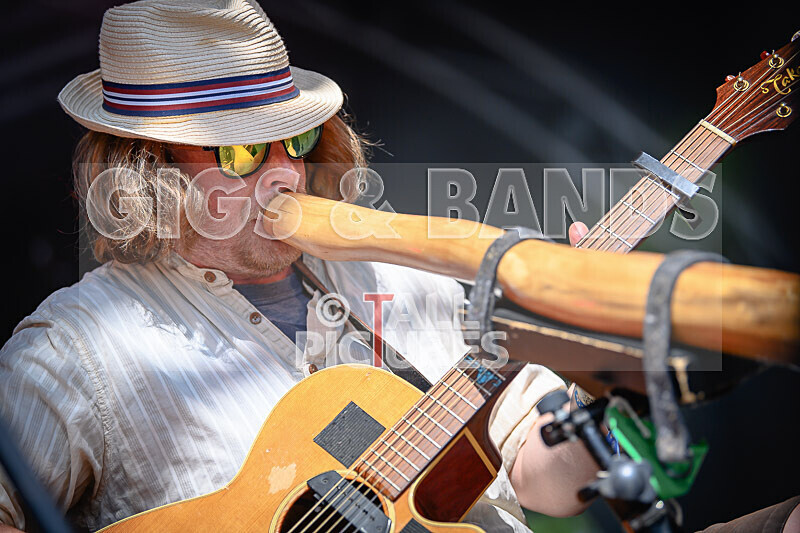 Buffalo Hudleston-756 - BUFFALO HUDLESTON