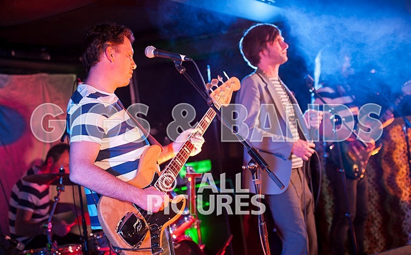 The Cryptics-25 - THE CRYPTICS