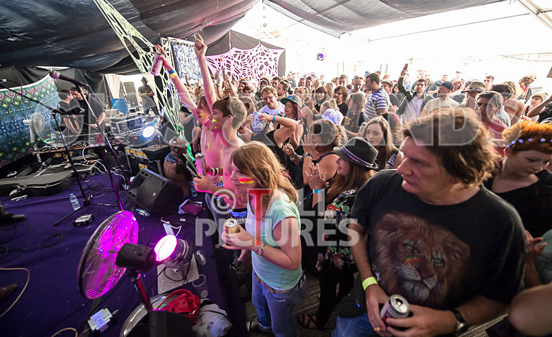 The Recks-274 - THE RECKS