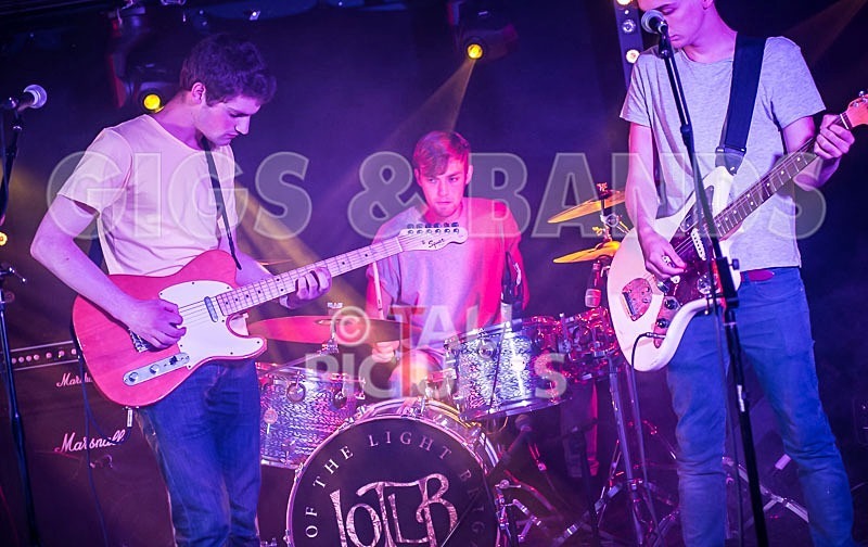 China Aster-98 - CHINA ASTER