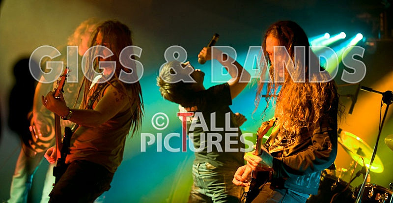 Maiden Guernsey-47 - MAIDEN GUERNSEY at RoA-2