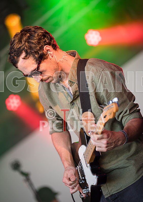 Tree House Fire-23 - TREE HOUSE FIRE