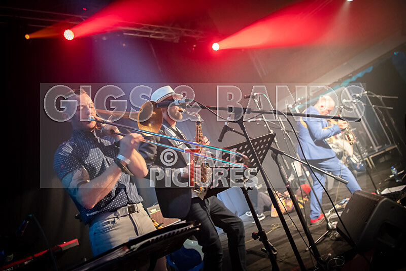 The Risk-509 - THE RISK