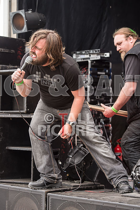 Crazy Babies-39 - CRAZY BABIES