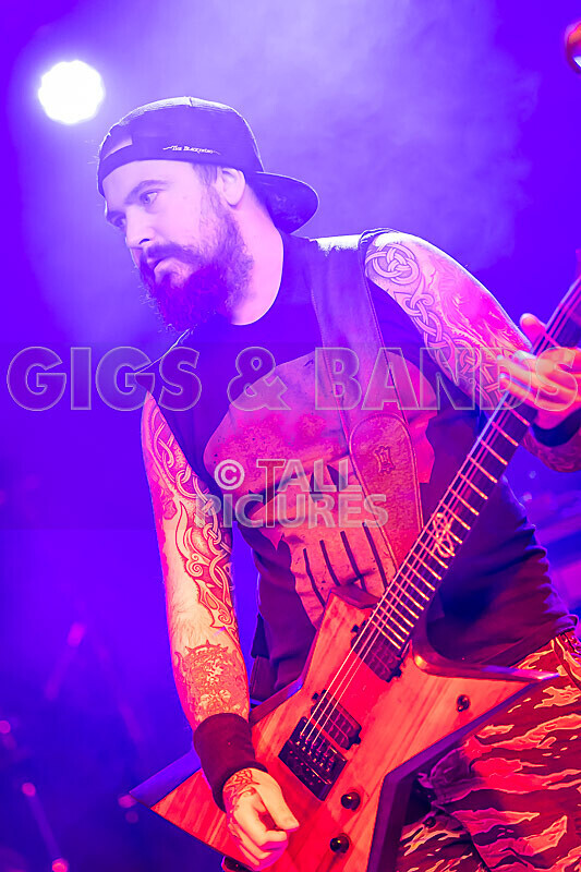 Demise of Sanity-215 - DEMISE OF SANITY