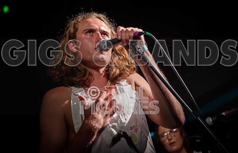 The Pips-44 - THE PIPS