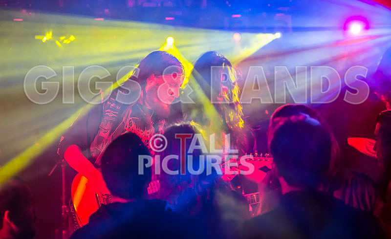 Stone Em All-185 - STONE EM ALL