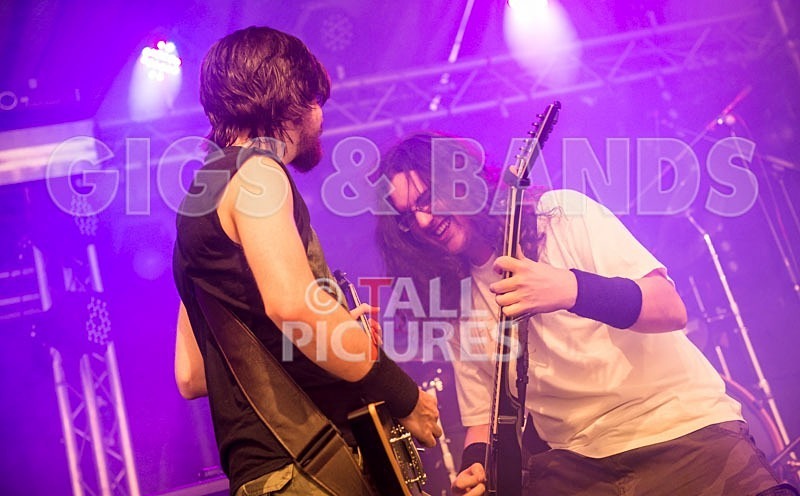 Chaos 2013_Demise of Sanity-20 - DEMISE OF SANITY