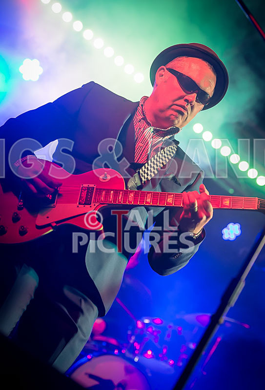 Sons of the Desert-252 - SONS OF THE DESERT