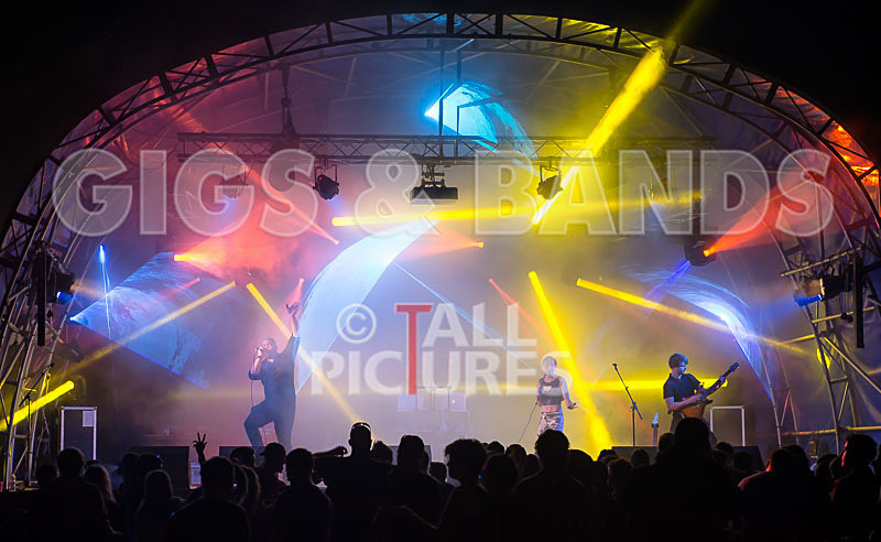 Vale Earth Fair 2015_Atmosphere-68 - VALE EARTH FAIR 2015_THE ATMOSPHERE