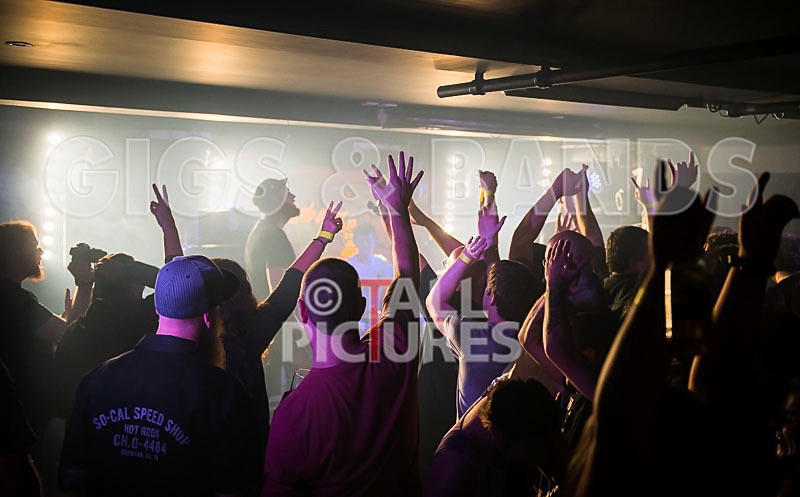 Teaspoonriverneck-365 - TEASPOONRIVERNECK