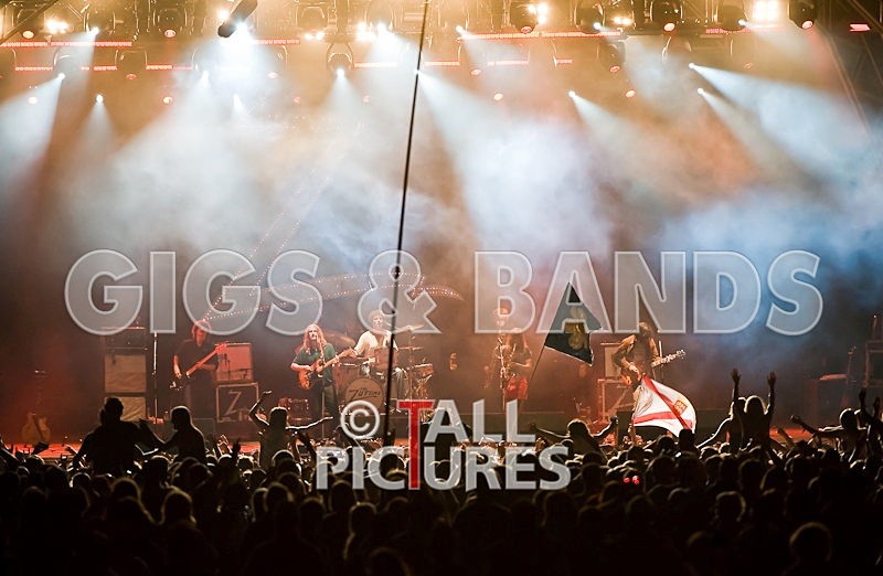 Zutons-2 - THE ZUTONS