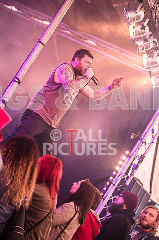 Granite Wolf-5 - GRANITE WOLF