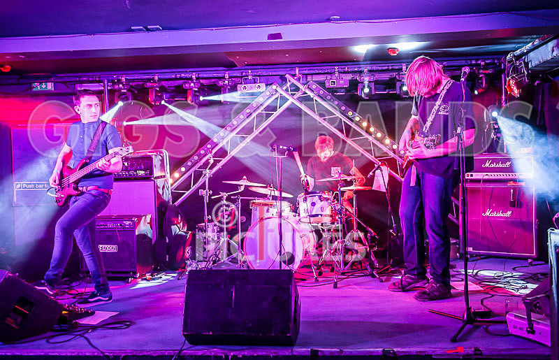 To the Woods-213 - TO THE WOODS