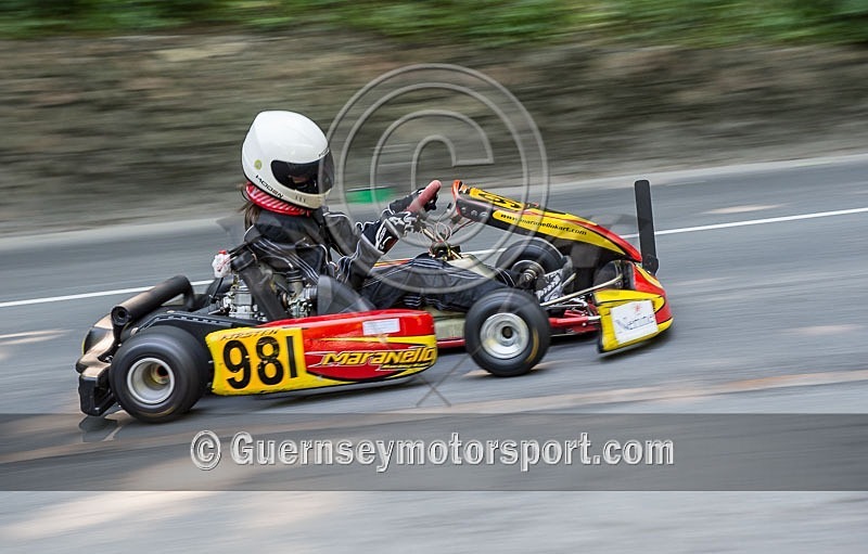 Hill Climb_Kart_27-05-2013-85 - KARTS_27-05-2013
