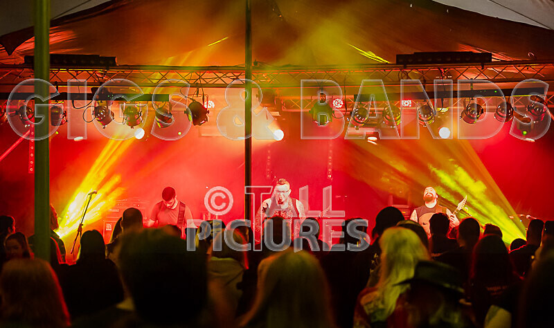 Demise of Sanity-237 - DEMISE OF SANITY