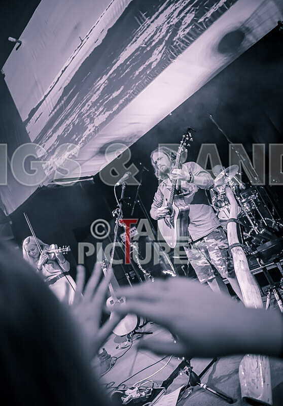 Buffalo Huddleston-552 - BUFFALO HUDDLESTON