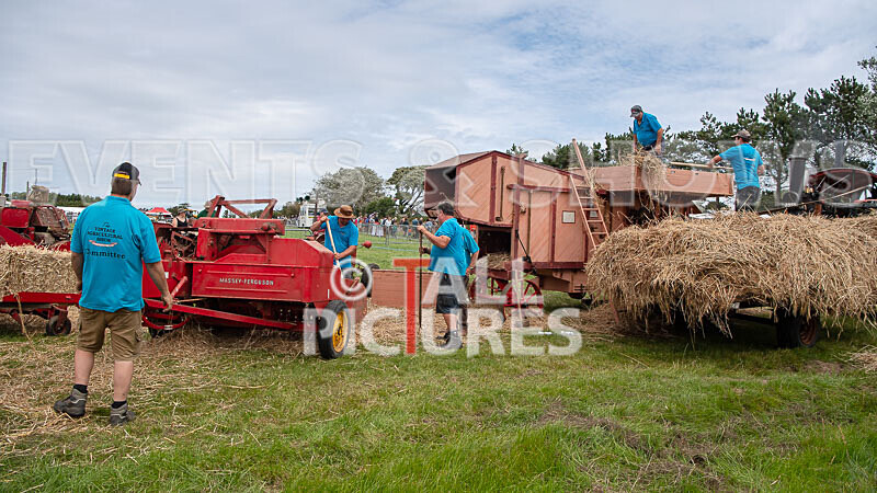 Guernsey Agricultural Show 2021-97 - GUERNSEY AGRICULTURAL SHOW 2021