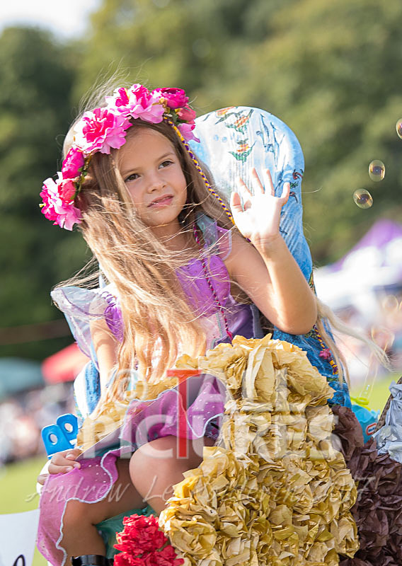 North Show 2017-1 - NORTH SHOW 2017