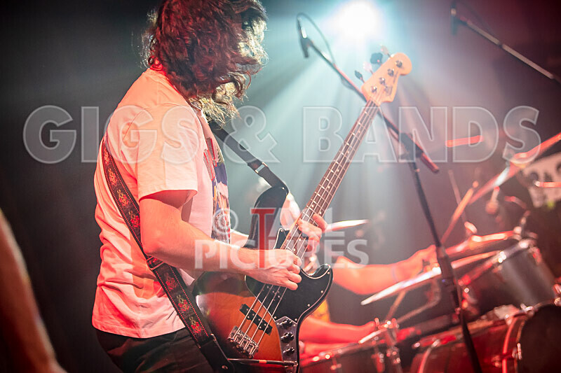 Pigsx7-64 - PIGS PIGS PIGS PIGS PIGS PIGS PIGS