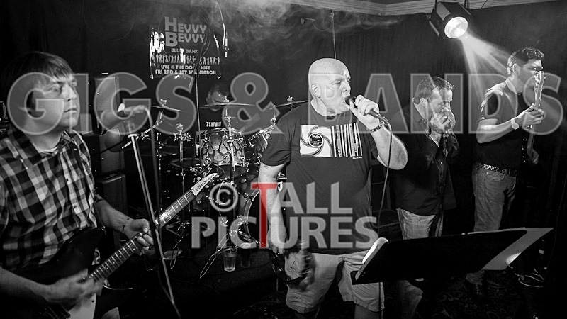 Hevvy Bevvy Blues Band-23 - HEVVY BEVVY BLUES BAND