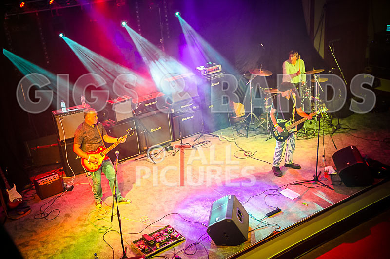 The Risk-378 - THE RISK