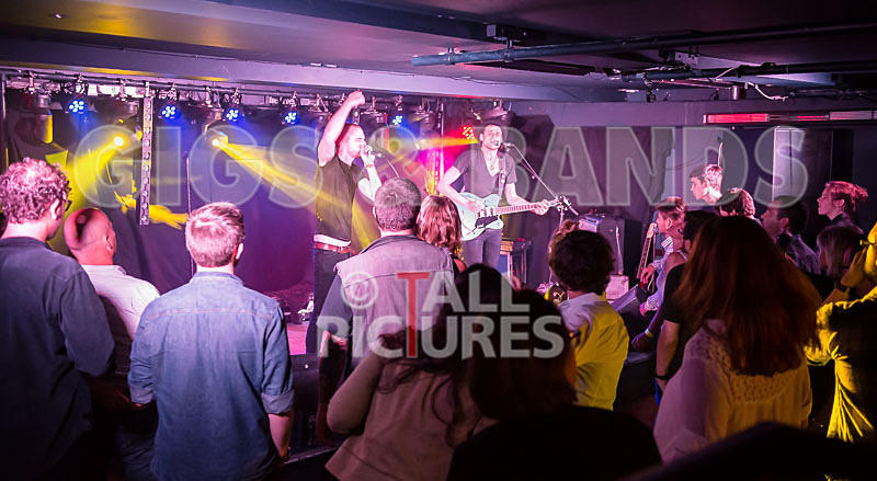 Heymoonshaker-49 - HEYMOONSHAKER