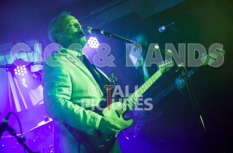 The Pulse-123 - THE PULSE