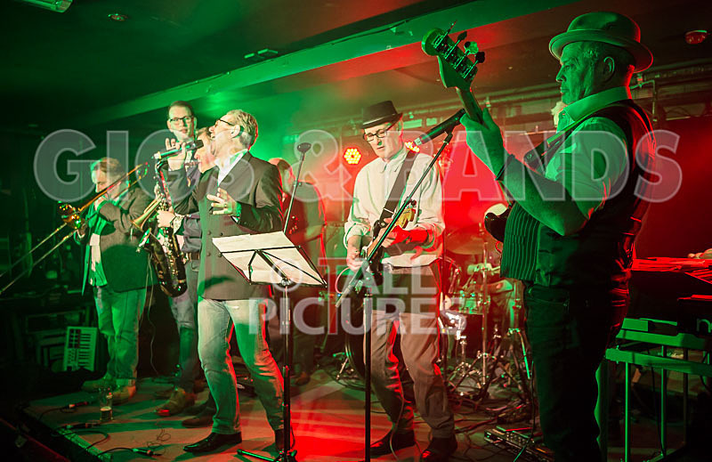 Alfie Bartons 25th Anniversary Gig-81 - ALFIE BARTON'S 25th ANNIVERSARY SPECIAL