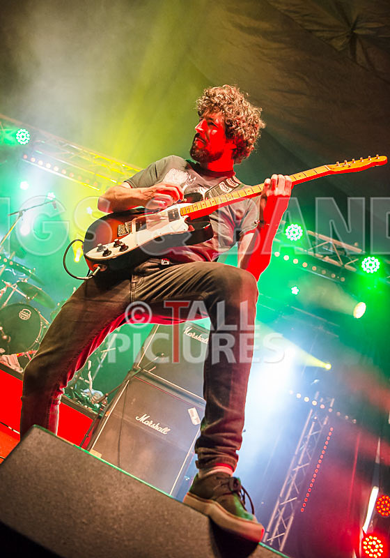 Static Alice-463 - STATIC ALICE