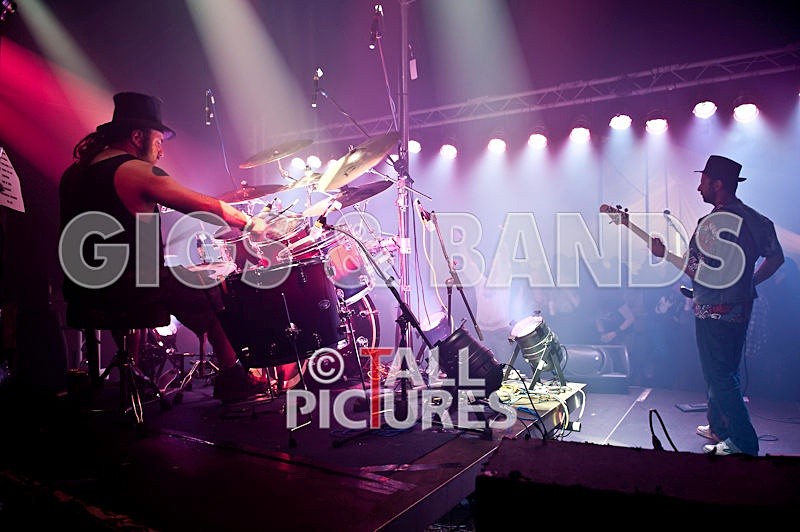 Peppered Ant Legs-69 - PEPPERED ANT LEGS