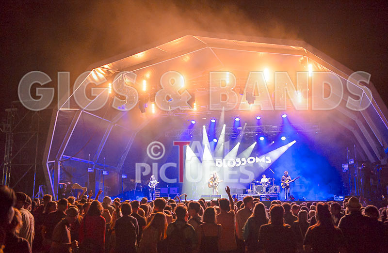 Blossoms-47 - BLOSSOMS