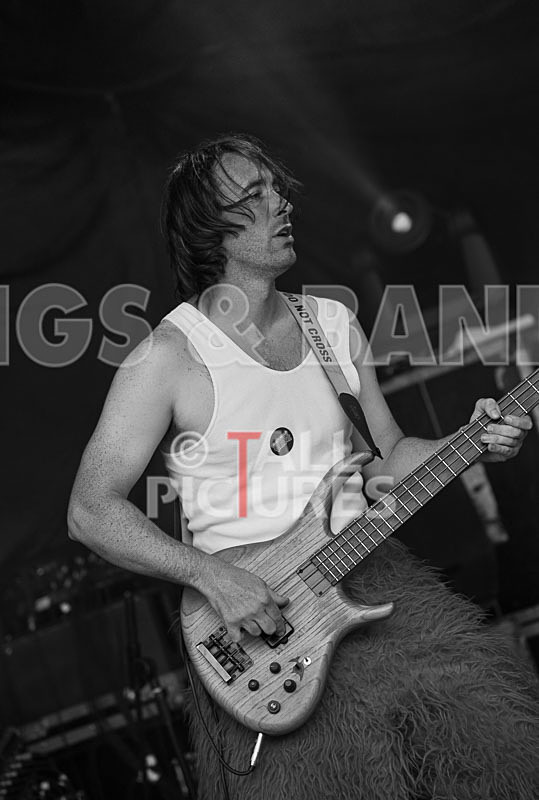 Toupe-13 - TOUPE at IVY CASTLE FAIR