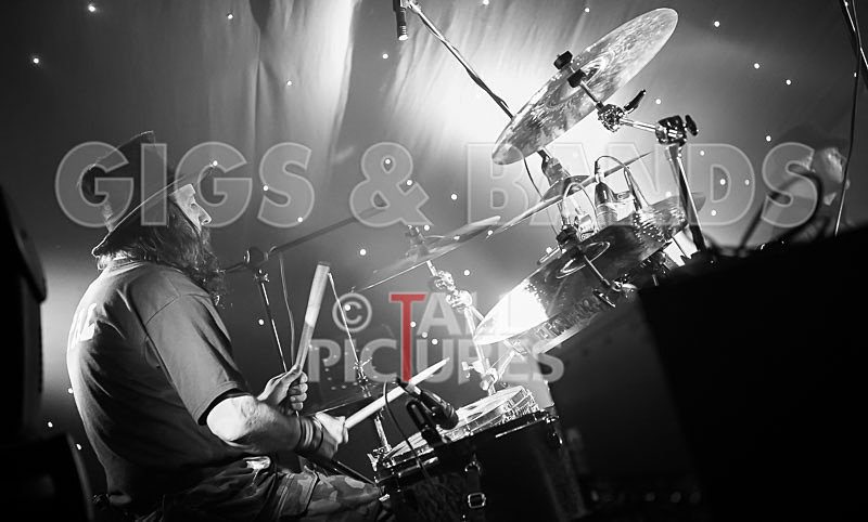 Peppered Ant Legs-205 - PEPPERED ANT LEGS