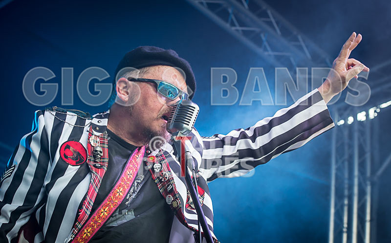 The Smooth Hounds-41 - THE SMOOTH HOUNDS