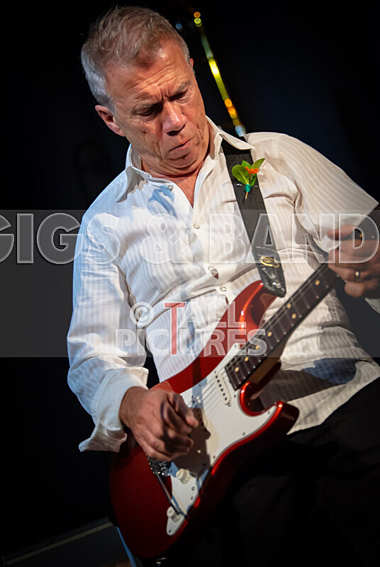 King Rat  the Soul Cats-434 - KING RAT & THE SOUL CATS