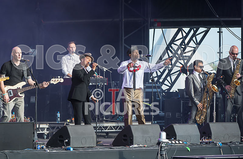 The Selecter-49 - THE SELECTER