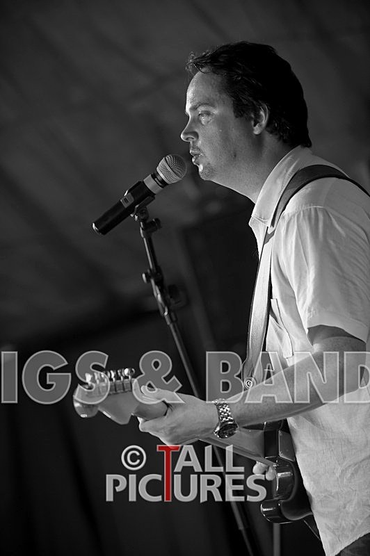 Wild Card-14 - HOGWASH 2009 - BANDS