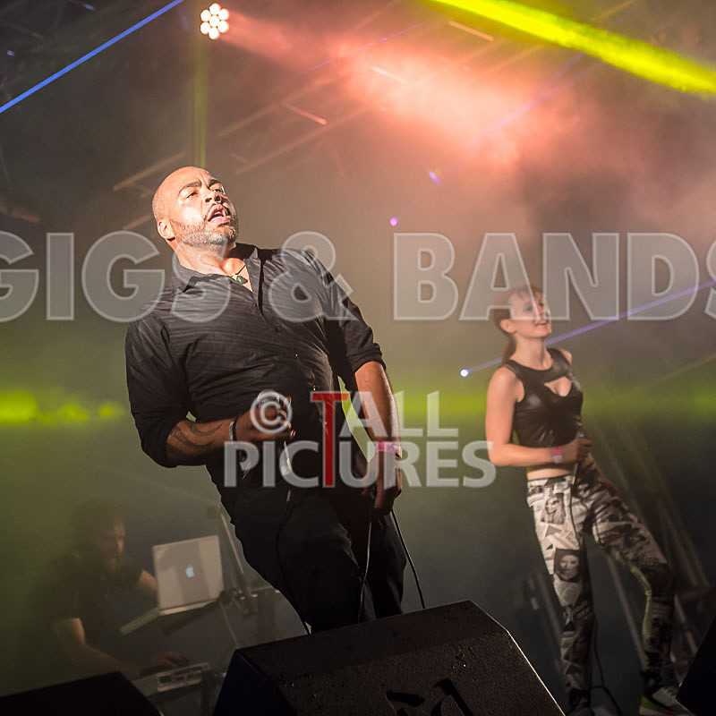 FireFarm-12 - FIREFARM