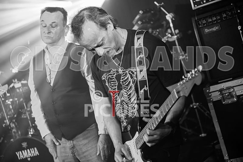 Elysium-303 - ELYSIUM