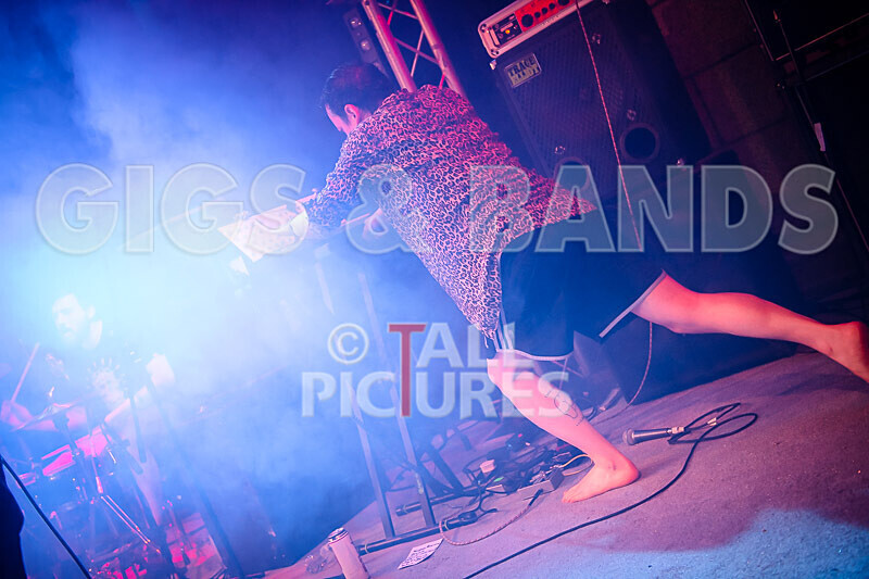 Pigsx7-20 - PIGS PIGS PIGS PIGS PIGS PIGS PIGS