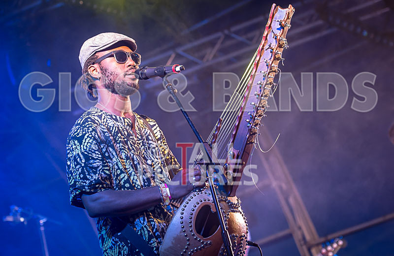 Joe Driscoll Sekou Kouyate-21 - JOE DRISCOLL & SEKOU KOUYATE